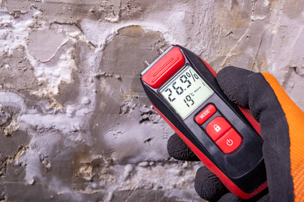 Crawl Space Mold Removal in Coats, NC