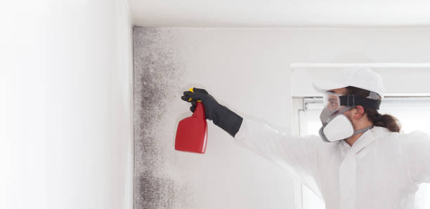 Best Mold Testing  in Coats, NC