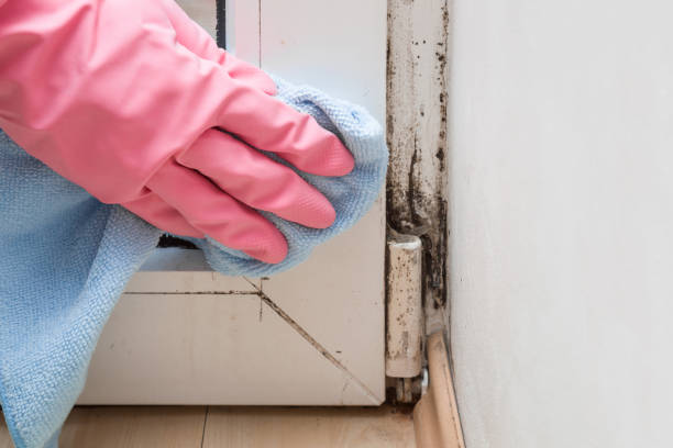 Best Crawl Space Mold Removal  in Coats, NC